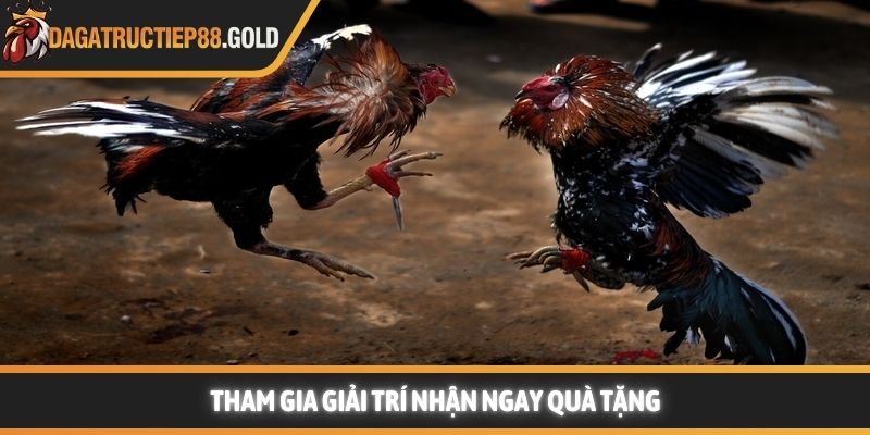 Tham gia giải trí nhận ngay quà tặng