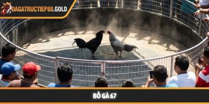 Bồ gà 67 và xu hướng giải trí trực tuyến minh bạch