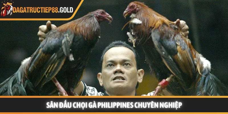 Sân đấu chọi gà Philippines chuyên nghiệp