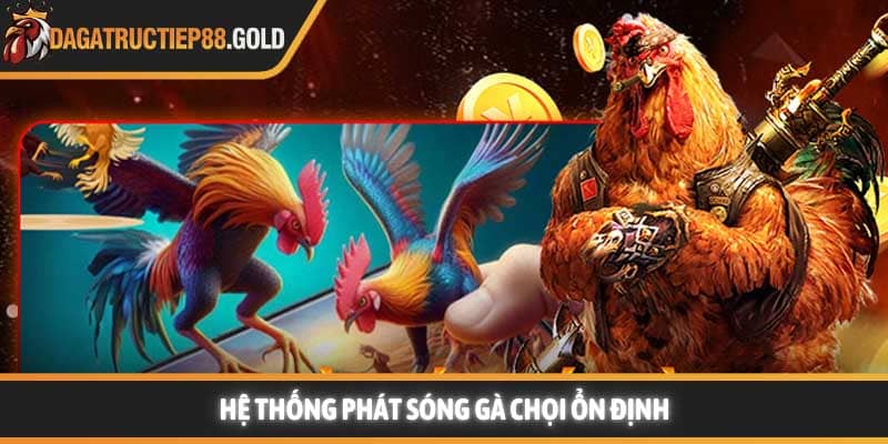 Hệ thống phát sóng gà chọi ổn định