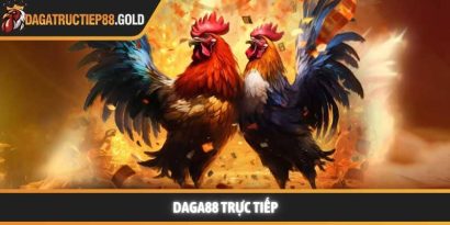 Daga88 trực tiếp và giải pháp xem đá gà Thomo đỉnh cao