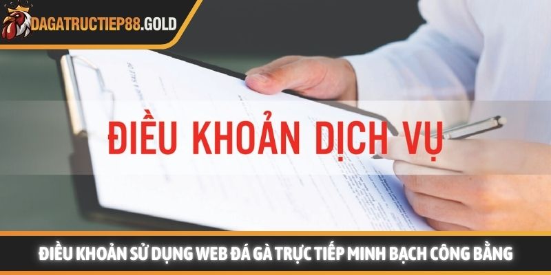 Điều khoản sử dụng Web Đá gà trực tiếp minh bạch công bằng