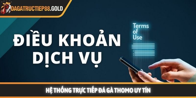 Hệ thống trực tiếp đá gà Thomo uy tín