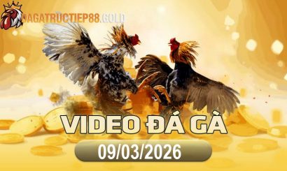 img video da ga cpc4 1773101596