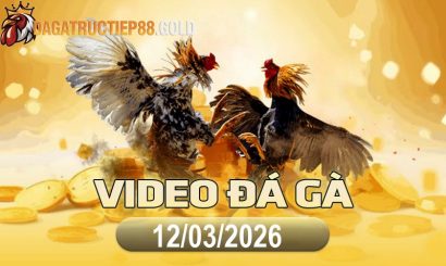 img video da ga cpc4 1773360475