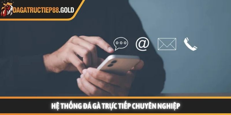 Hệ thống Đá Gà Trực Tiếp chuyên nghiệp