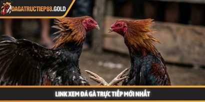 Link xem đá gà trực tiếp chất lượng cao cập nhật mới