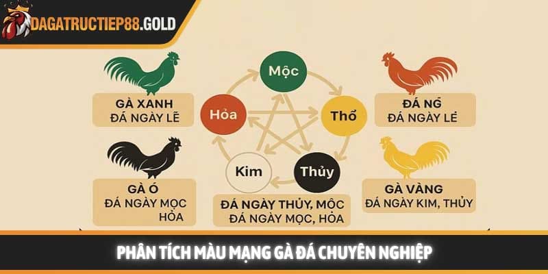 Phân tích màu mạng gà đá chuyên nghiệp
