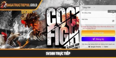SV388 và trải nghiệm đá gà trực tiếp chuyên nghiệp