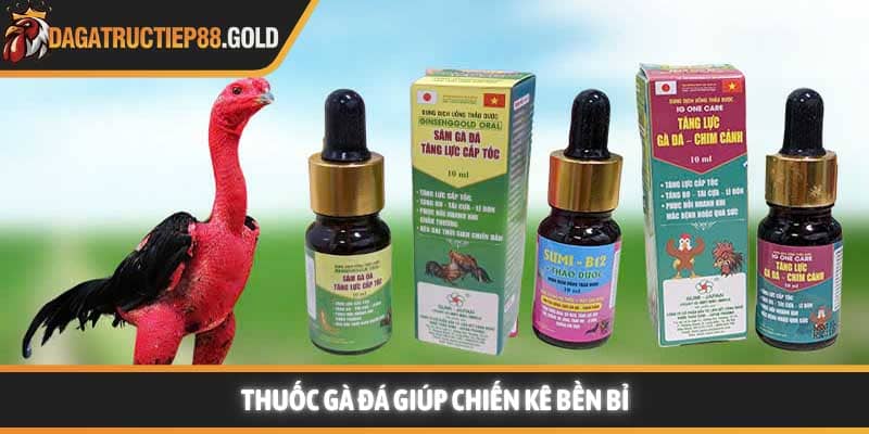Thuốc gà đá giúp chiến kê bền bỉ