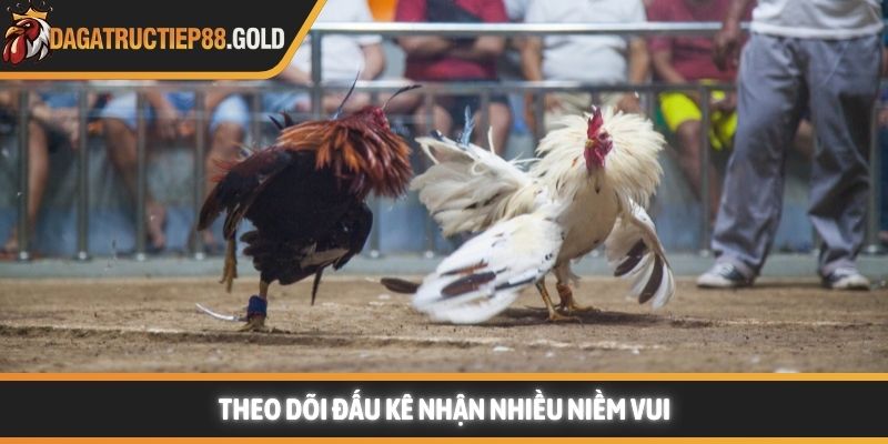 Theo dõi đấu kê nhận nhiều niềm vui