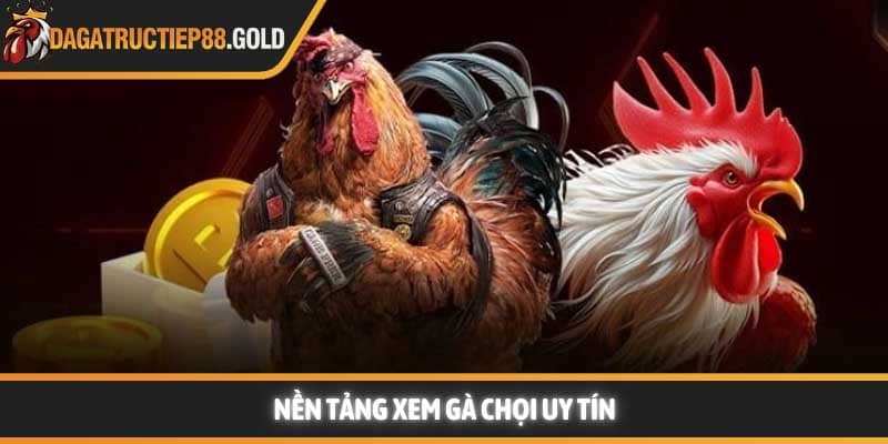 Nền tảng xem gà chọi uy tín