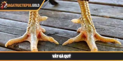 Những kiểu vảy gà quý hiếm nhất