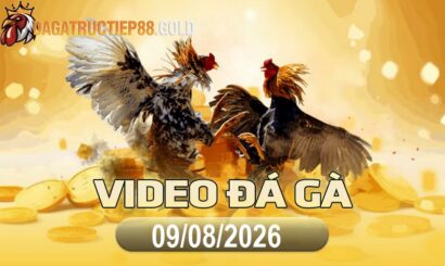 img video da ga cpc4 1786320006